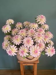 téléchargement (2)