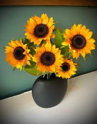 téléchargement (4)