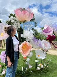 téléchargement (5)